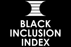 Black Inclusion Index